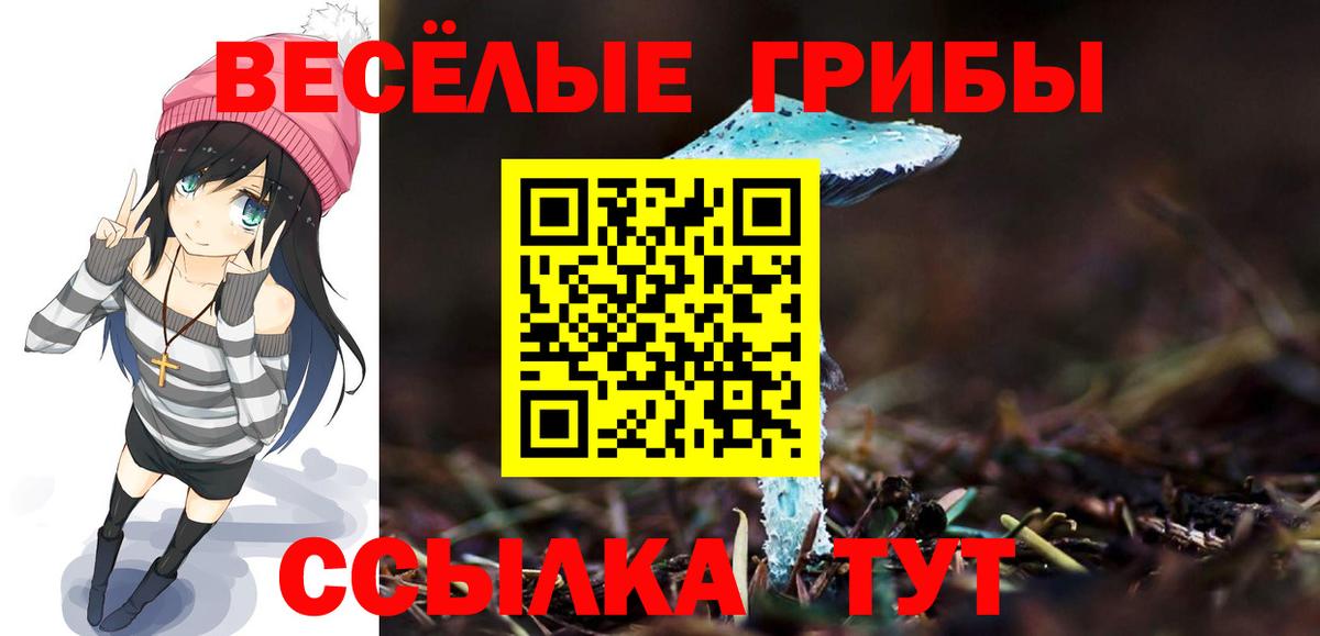 Ивантеевка  продажа наркотиков  Вход с VPN  Псилоцибиновые грибы прущие грибы  Галлюциногенные грибы Cubensis 
