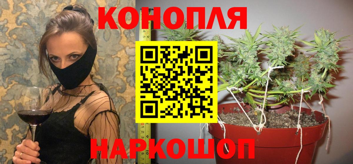 Бошки марихуана семена  Бошки марихуана VHQ  Вход с VPN  Конопля LSD WEED  Ивантеевка 